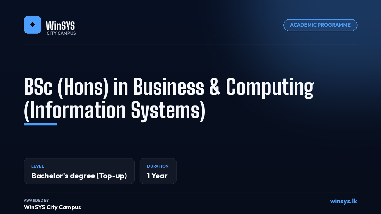 BSc (Hons) in Business & Computing (Information Systems)